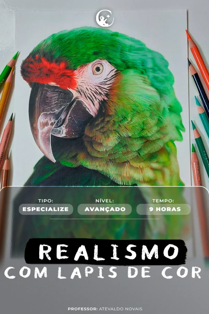 Novas-capas-1.0Prancheta-1-copiar-2