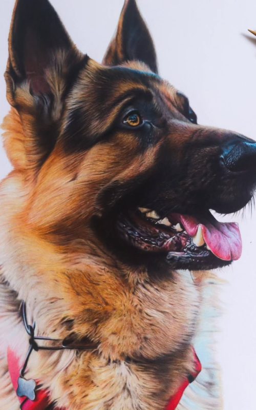 atevaldo_novais_1749573479681