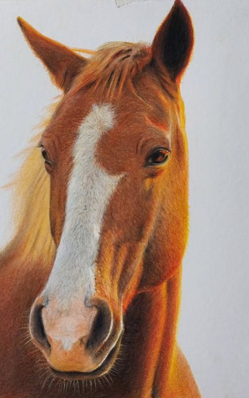 atevaldo_novais_1749574492005